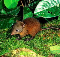 3-Day Small-Group Tour of North Queensland with Pick Up - St Kilda Accommodation