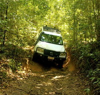 Cairns National Park Rainforest and Waterfall Small Group Tour Shore Excursion - St Kilda Accommodation