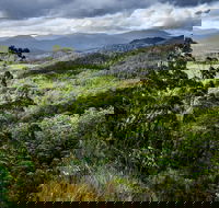 3-Day Tour to the Falls Mountains Lake  More of West Coast Tasmania - St Kilda Accommodation