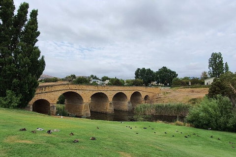 Port Arthur, Richmond And Tasman Peninsula Day Trip From Hobart - St Kilda Accommodation 3