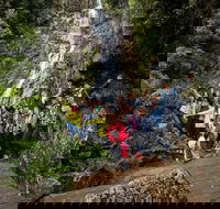 5-Day Lap of Tasmania Tour from Hobart flexible ticket - St Kilda Accommodation