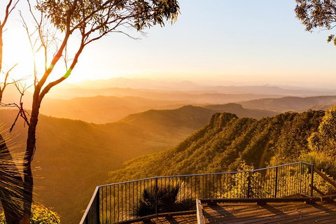 O'Reilly's & Lamington National Park Incl. Alpaca Farm + Vineyard - St Kilda Accommodation 0