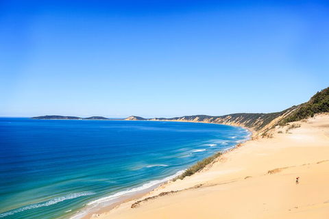 Kayak With Dolphins And 4WD Great Beach Drive Day Trip From Noosa - St Kilda Accommodation 0