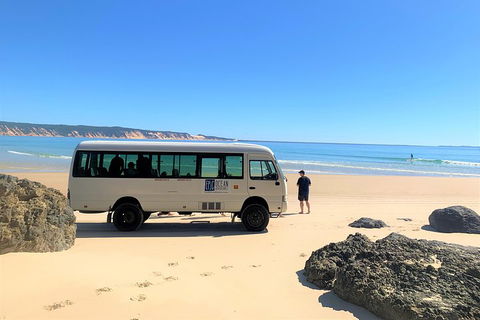 Kayak With Dolphins And 4WD Great Beach Drive Day Trip From Noosa - St Kilda Accommodation 4