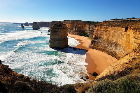Helicopter Flight + Fine Dining Private Luxury Great Ocean Road Tour - St Kilda Accommodation 4