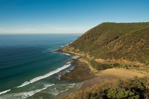 Great Ocean Road Adventure - Private Tour - Reverse - St Kilda Accommodation 2
