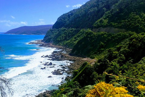Great Ocean Road Adventure - Private Tour - Reverse - St Kilda Accommodation 3