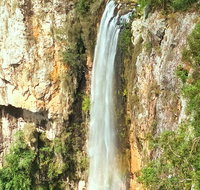 Private Tour - Rainforest  Waterfalls Extravaganza - St Kilda Accommodation