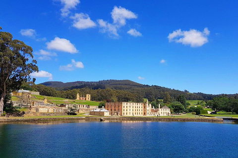 Tasmania 4 Day East Coast + Launceston - St Kilda Accommodation 0