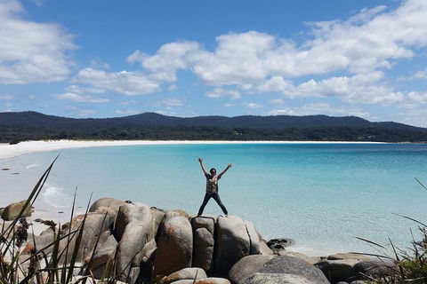 Tasmania 4 Day East Coast + Launceston - St Kilda Accommodation 1