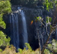 Byron Bay Hinterland Tour Including Rainforest Walk to Minyon Falls - St Kilda Accommodation