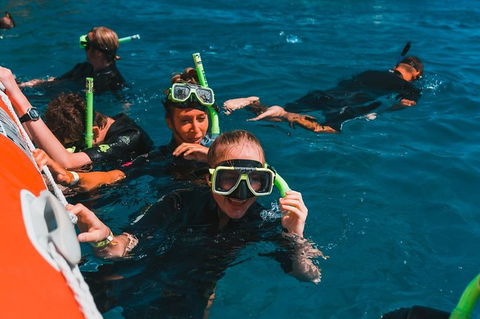 Whitehaven Beach And Hill Inlet Lookout Full-Day Snorkeling Cruise By High-Speed Catamaran - St Kilda Accommodation 3