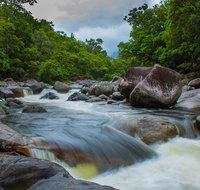 Cape Tribulation Day Tour - St Kilda Accommodation