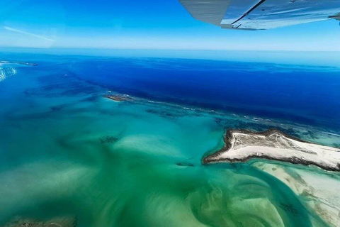 Wet Season Incredible Islands Tour - Horizontal Falls & Cygnet Bay Pearl Farm - St Kilda Accommodation 4