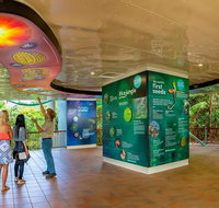 Skyrail  Kuranda Train Day Trip from Cairns - St Kilda Accommodation
