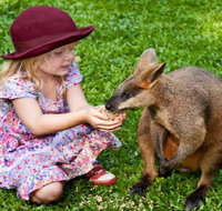 Kuranda Day Tour  HotAir Balloon Combo - St Kilda Accommodation