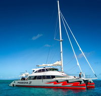 Passions of Paradise Great Barrier Reef Snorkel and Dive Cruise from Cairns by Luxury Catamaran - St Kilda Accommodation