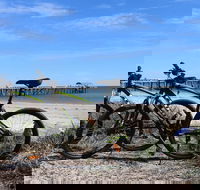 Adelaide City to Sea Bike Tour - St Kilda Accommodation