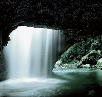 Natural Bridge Glow Worm Night Tour from Gold Coast - St Kilda Accommodation