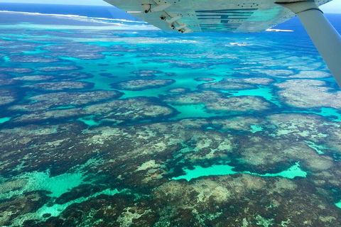 Shipwreck Special Full Day Tour Of The Abrolhos Islands - St Kilda Accommodation 1