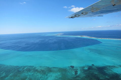 Shipwreck Special Full Day Tour Of The Abrolhos Islands - St Kilda Accommodation 2
