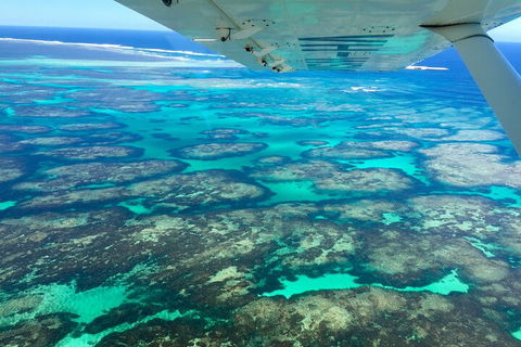 Kalbarri, Pink Lake And Abrolhos Islands Nature Tour - St Kilda Accommodation 5