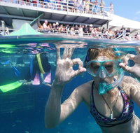 Great Barrier Reef Day Cruise from Cairns Including Snorkeling and Marine Biologist Presentation - St Kilda Accommodation