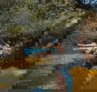 Kayak Tour in Adelaide Dolphin Sanctuary - St Kilda Accommodation