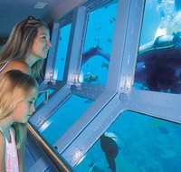 Quicksilver Outer Great Barrier Reef Snorkel Cruise from Palm Cove - St Kilda Accommodation