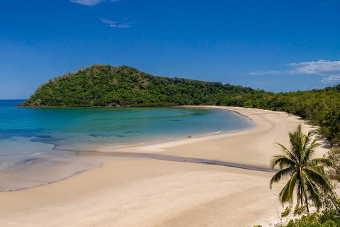 Daintree And Cape Tribulation Tour From Cairns - St Kilda Accommodation 1