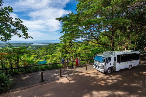 Daintree And Cape Tribulation Tour From Cairns - St Kilda Accommodation 3