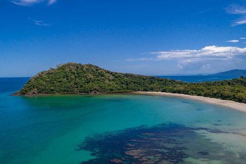 Daintree And Cape Tribulation Tour From Cairns - St Kilda Accommodation 4
