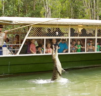 Hartley's Crocodile Adventure Half-Day Tour - St Kilda Accommodation