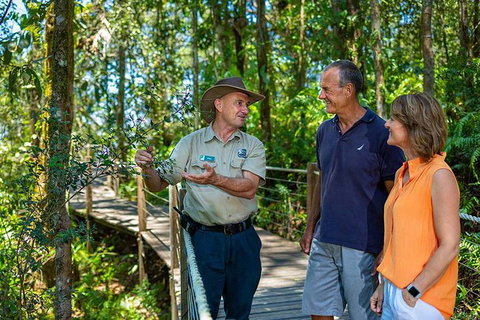 Kuranda Scenic Railway Day Trip From Cairns - St Kilda Accommodation 1