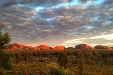 5-Hour Kata Tjuta Sunrise Tour From Ayers Rock With Breakfast - St Kilda Accommodation 1