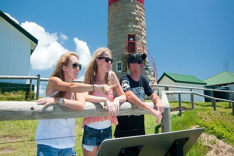 Full-Day Moreton Island 4x4 Sightseeing Tour - St Kilda Accommodation 3