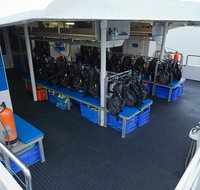Silverswift Outer Great Barrier Reef Dive and Snorkel Cruise from Cairns - St Kilda Accommodation