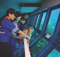 Great Barrier Reef Adventure from Cairns - St Kilda Accommodation
