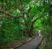 Green Island Eco Adventure from Cairns - St Kilda Accommodation