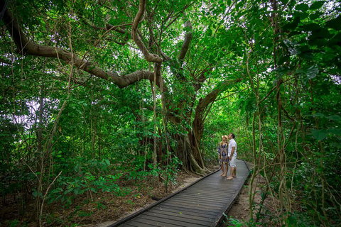 Green Island Eco Adventure From Cairns - St Kilda Accommodation 0
