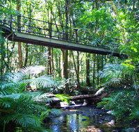 Double Pack-Ancient Rainforest and Waterfalls - St Kilda Accommodation
