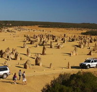 1-Day Pinnacles and Yanchep Tour from Perth including Fish and Chips Lunch - St Kilda Accommodation