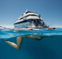 3 Day Great Barrier Reef Daintree Rainforest and Outback Chillagoe Tour - St Kilda Accommodation