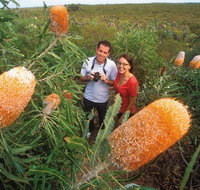 Best of Perth Wildflower Season Day Trip - St Kilda Accommodation