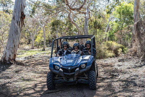 Small-Group Buggy Tour At Little Sahara With Guide - St Kilda Accommodation 0