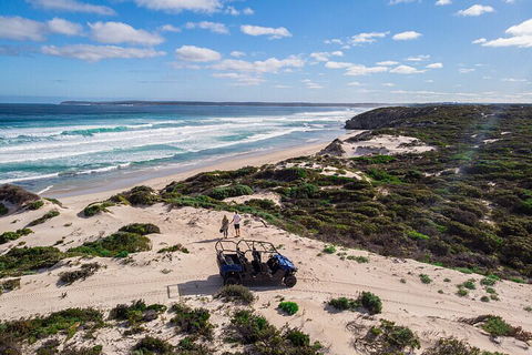 Small-Group Buggy Tour At Little Sahara With Guide - St Kilda Accommodation 1