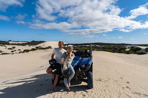 Small-Group Buggy Tour At Little Sahara With Guide - St Kilda Accommodation 2
