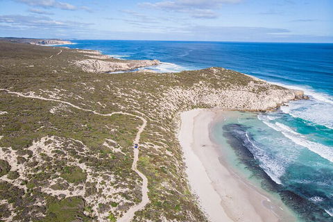 Small-Group Buggy Tour At Little Sahara With Guide - St Kilda Accommodation 4