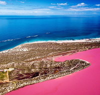 Pink Lake Small-Group Buggy Tour - St Kilda Accommodation