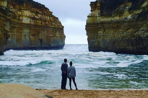 Great Ocean Road Small-Group Ecotour From Melbourne - St Kilda Accommodation 1